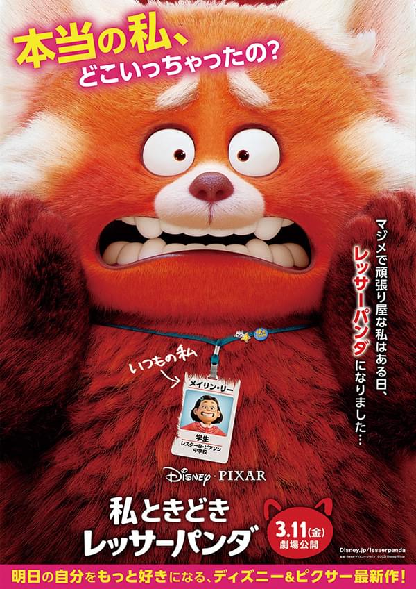 私ときどきレッサーパンダ